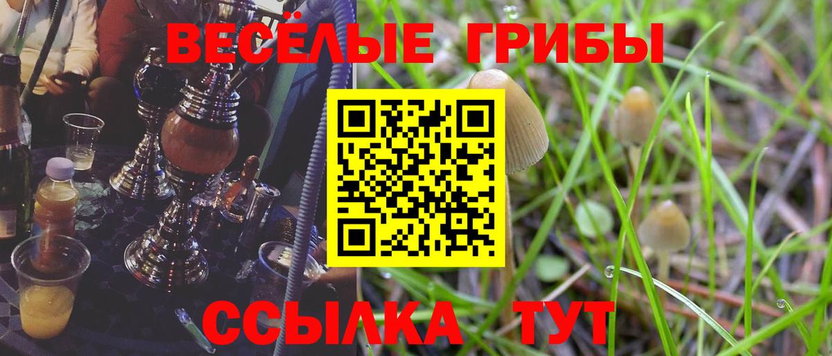 Галлюциногенные грибы MAGIC MUSHROOMS Зеленокумск